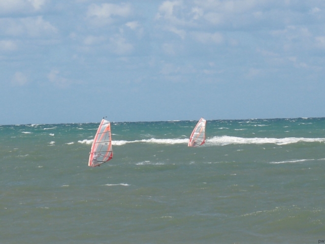  Windsurfing courses 